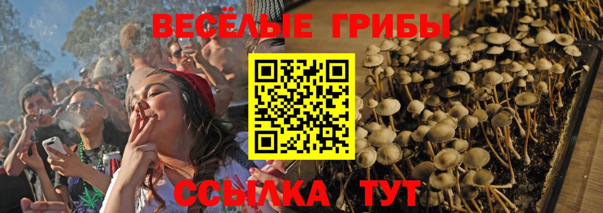 Кулебаки  Галлюциногенные грибы мицелий  Вход с VPN 